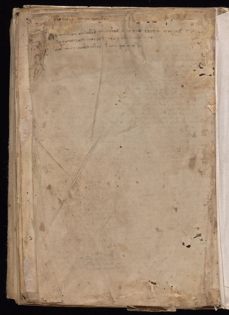 Beinecke MS 408 Folio 116v final page showing marginal lines of mixed Latin-like script and Voynich characters.