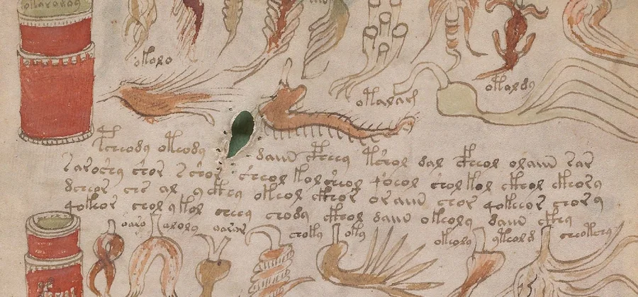 Detail crop of Folio 99r showing painted apothecary containers alongside individual root and leaf illustrations and labels.